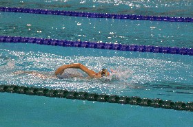水中精灵——记我校游泳队参加2015北京业余游泳分站赛